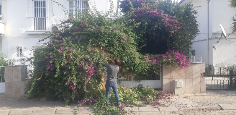 Efeler’in ekipleri pırıl pırıl bir kent için çalışıyor