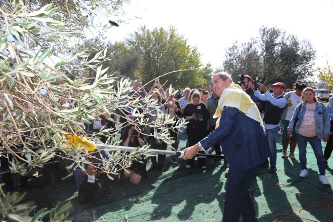 Uluslararası Ayvalık Zeytin Hasat ve Turizm Festivali’nden 19’uncu kez “Merhaba”