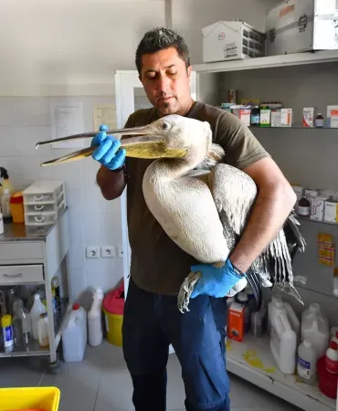 İzmir Doğal Yaşam Parkı yaban hayatın sakinlerine şifa dağıtıyor