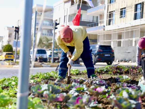 Didim’de kışlık çiçeklerin dikimine başlandı